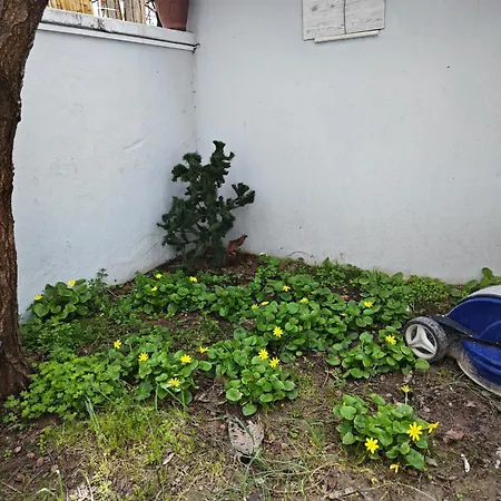 Apartment Adakonak Urla