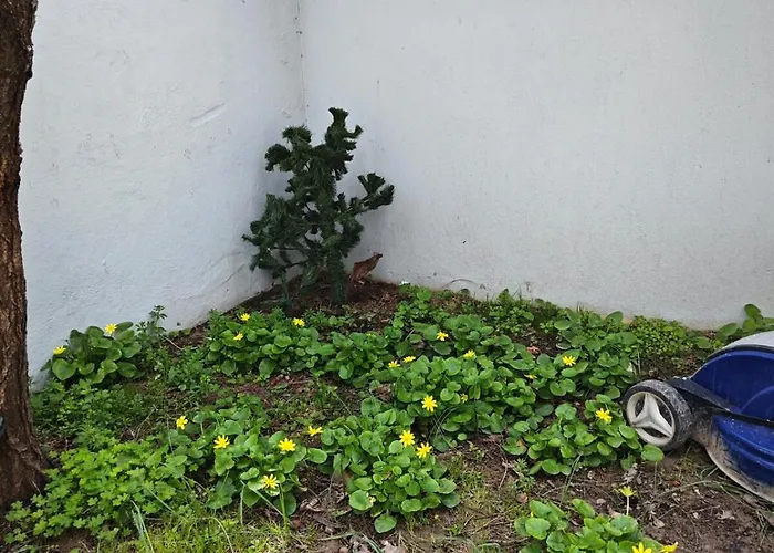 Lägenhet Adakonak Urla